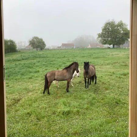 La Roulotte De Lois & Clara Luksusowy namiot *