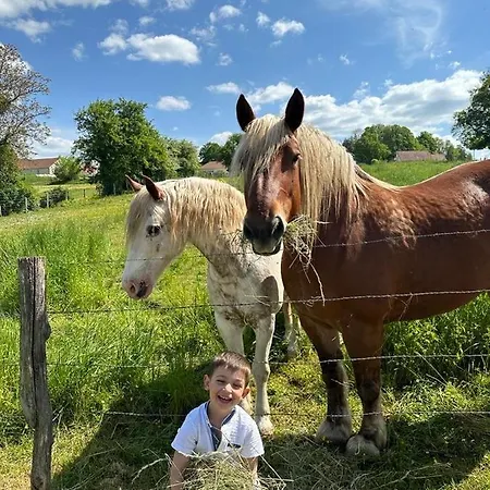 Luksusowy namiot La Roulotte De Lois & Clara