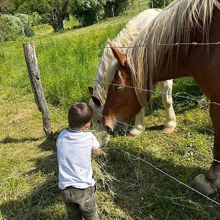 La Roulotte De Lois & Clara Arc-en-Barrois