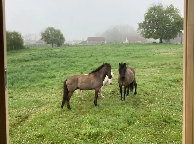La Roulotte De Lois & Clara خيمة فخمة *